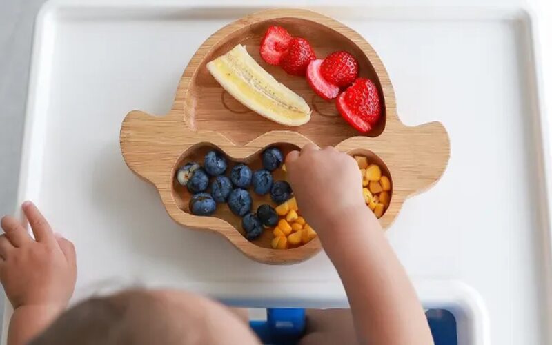 Baby snacks that combine taste, nutrition, and safety perfectly